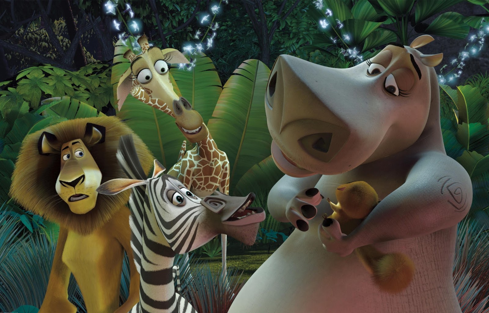 Madagascar HD Wallpapers High Definition Free Background.