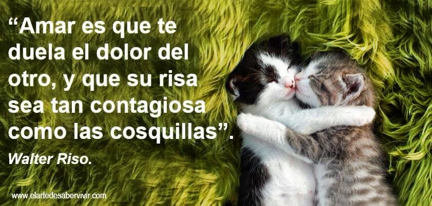 Frases Bonitas Para Facebook: Frases para Reflexionar Sobre El Amor