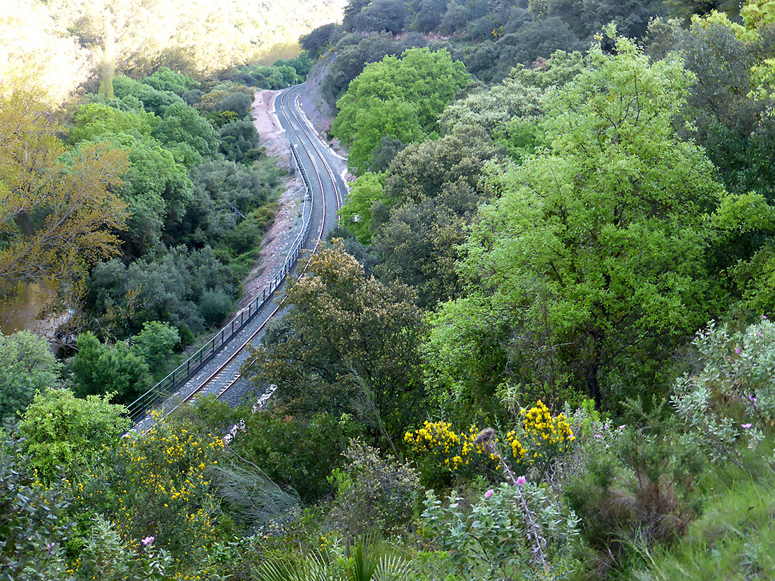Foto de Sendero Estación de Benaoján - Estación de Jimera de Líbar en Benaoján, Málaga