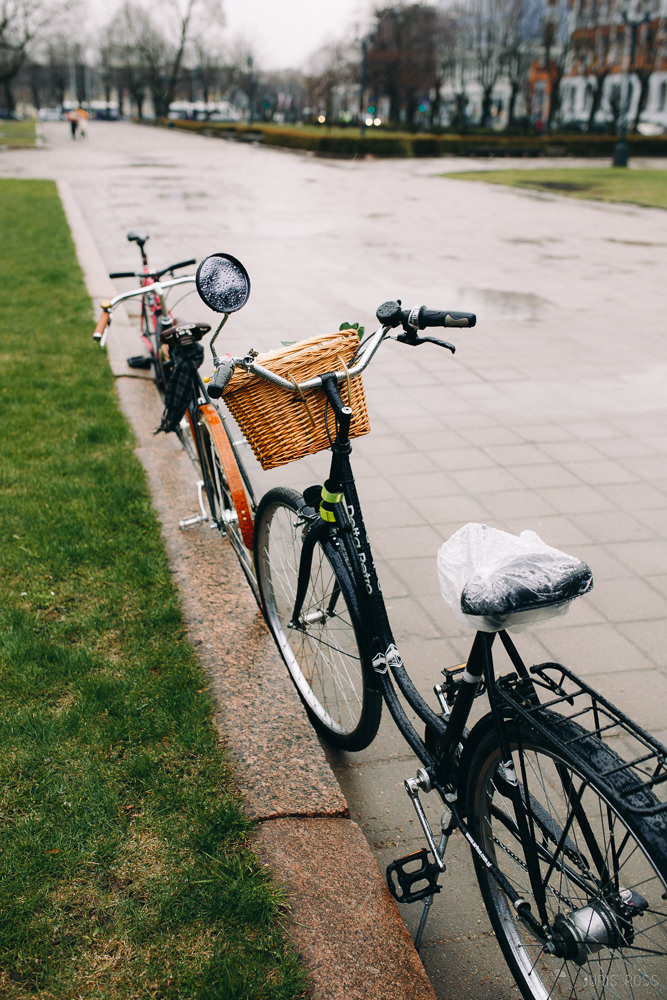 velo groziņš