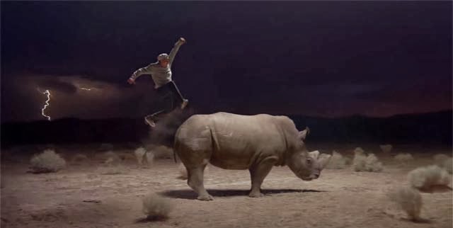 Ride a Rhino