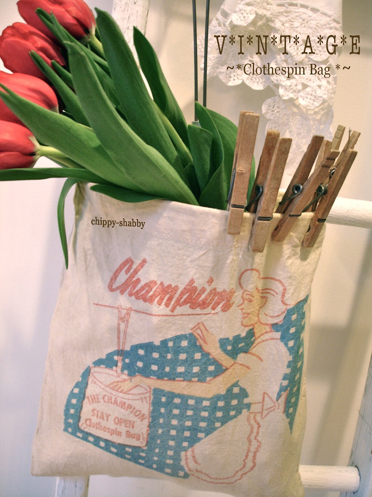 ChiPPy! SHaBBy! ViNtaGe Clothespin Bag...