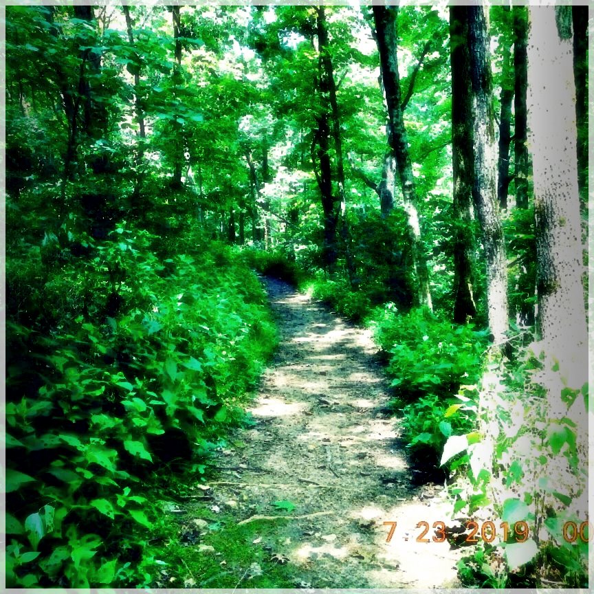 HikingTrails-74468735293