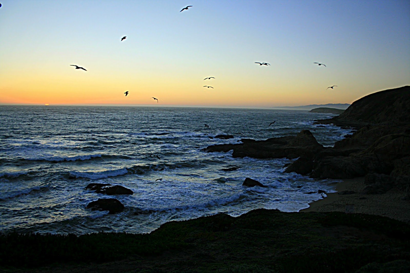 Stillhowlyntravels Bodega Bay is for "The Birds"!