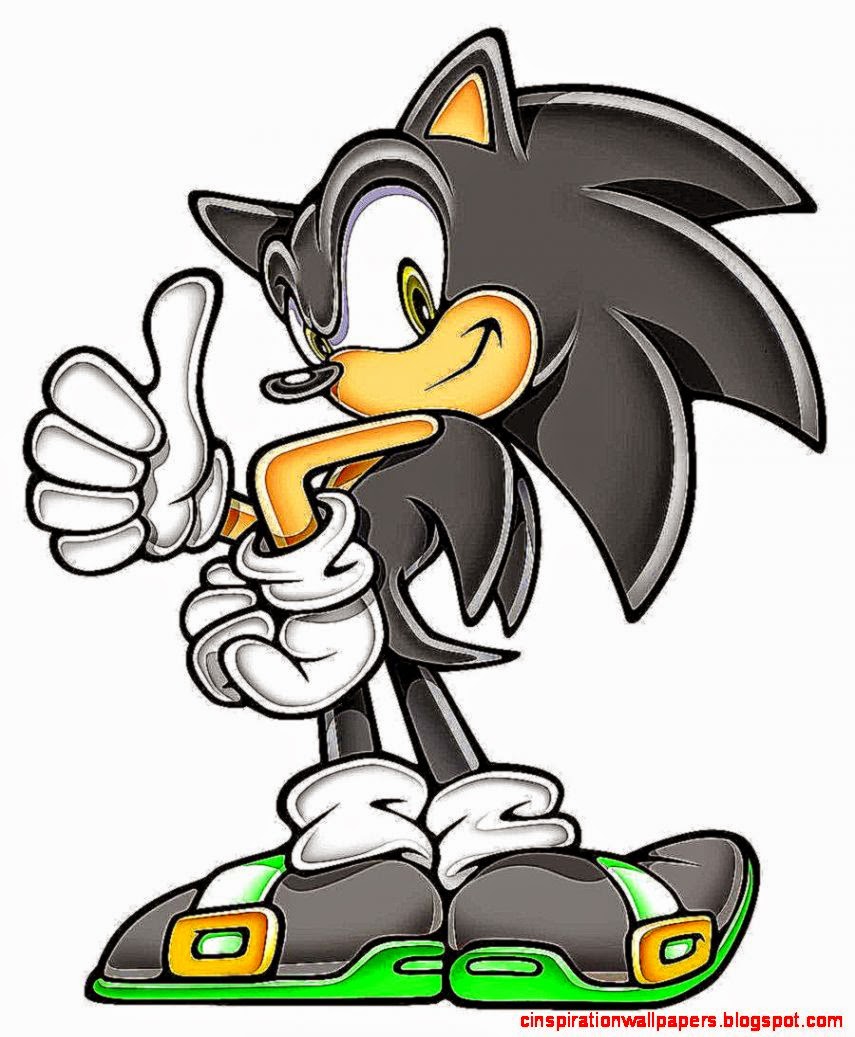 Sonic The Hedgehog Black Hedgehog