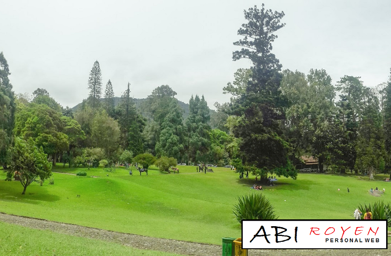 Tempat Wisata Alam Di Bogor Paling Menarik Taman Sakura Tempat%2BWisata%2BAlam%2BDi%2BBogor%2BPaling%2BMenarik%2BTaman%2BSakura 11 Tempat Wisata Alam Di Bogor Paling Menarik Untuk Hunting Foto Yang Keren