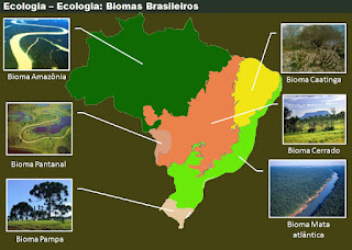 Resultado de imagem para imagem dos biomas brasileiros