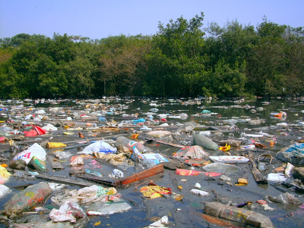 SCIENCE BLOG. YEAR 4 PROTECTING ECOSYSTEMS POLLUTION