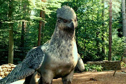 buckbeak hippogriff potter harry azkaban prisoner animal hippogryph creatures half bird horse beasts creature fantastic magical hp hippogryphs animals mythical