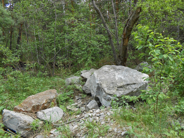 Каменная россыпь на берегу реки Маук