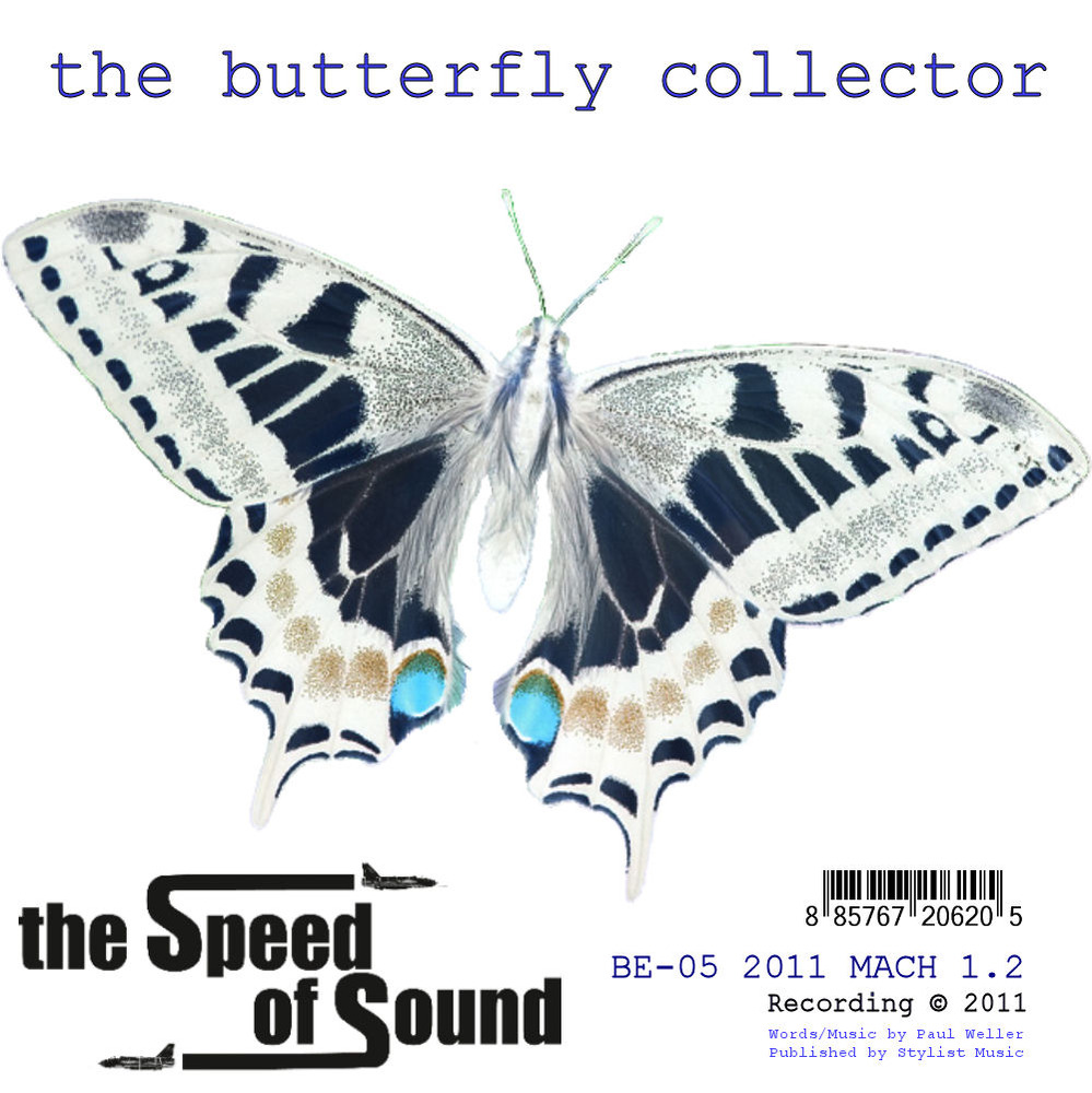 The Speed Of Sound Butterfly Collector