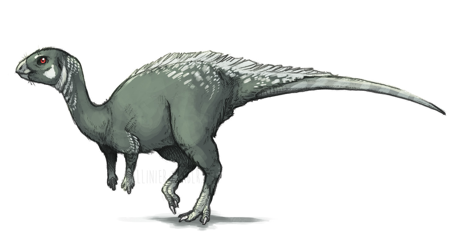 Dinosaurs dig. Digging up dinosaurs national geographic explorer. Dinosaurs dig. дино дэн динозавры. обои инди кид динозавр.