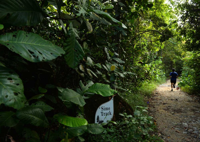 The proposed alignment of the new Cross Island Line, which could run through the Central Catchment Nature Reserve, has sparked heated debate.