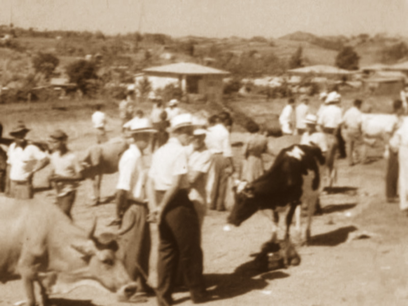 Cuba noticias disidentes: DATOS HISTORICOS DE PUERTO RICO