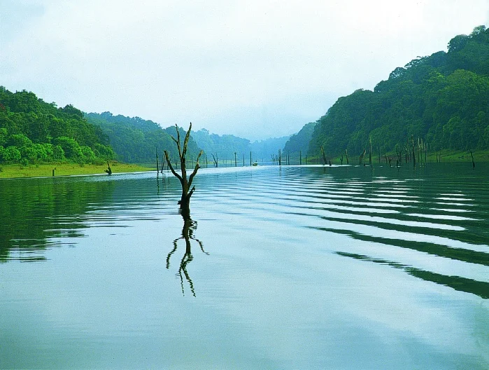 Kerala Travel Guide - Thekkady