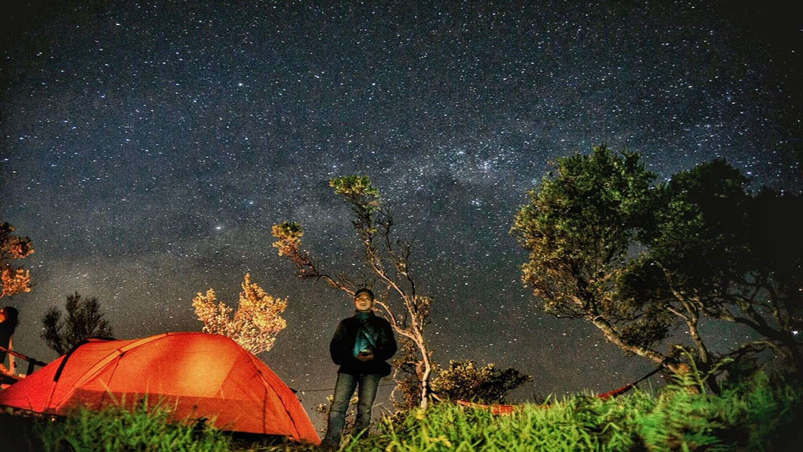 stargazing tours broome