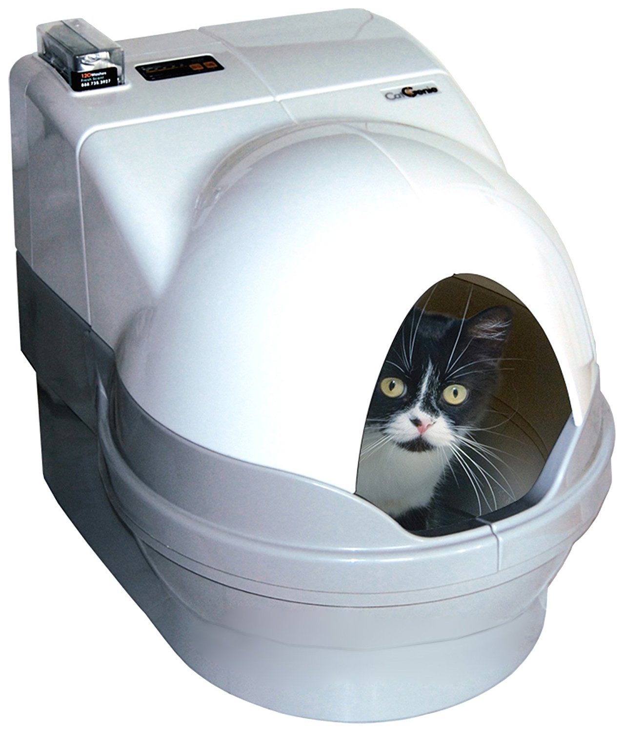 Catgenie drain hookup