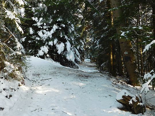 Na rozejściu dróg nie idziemy prosto, lecz wchodzimy na lewe rozwidlenie. Na rozejściu dróg nie idziemy prosto, lecz wchodzimy na lewe rozwidlenie.