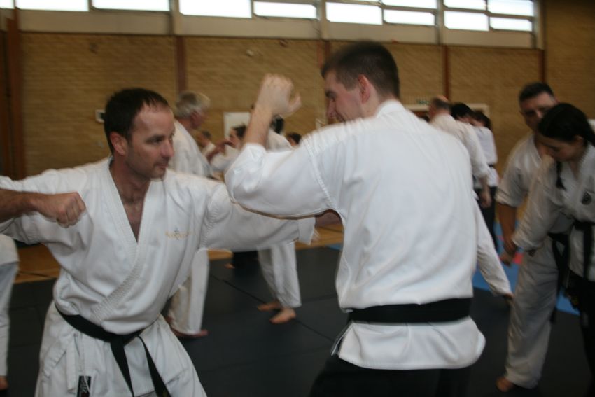 Alternative Karate Why Alternative Karate?