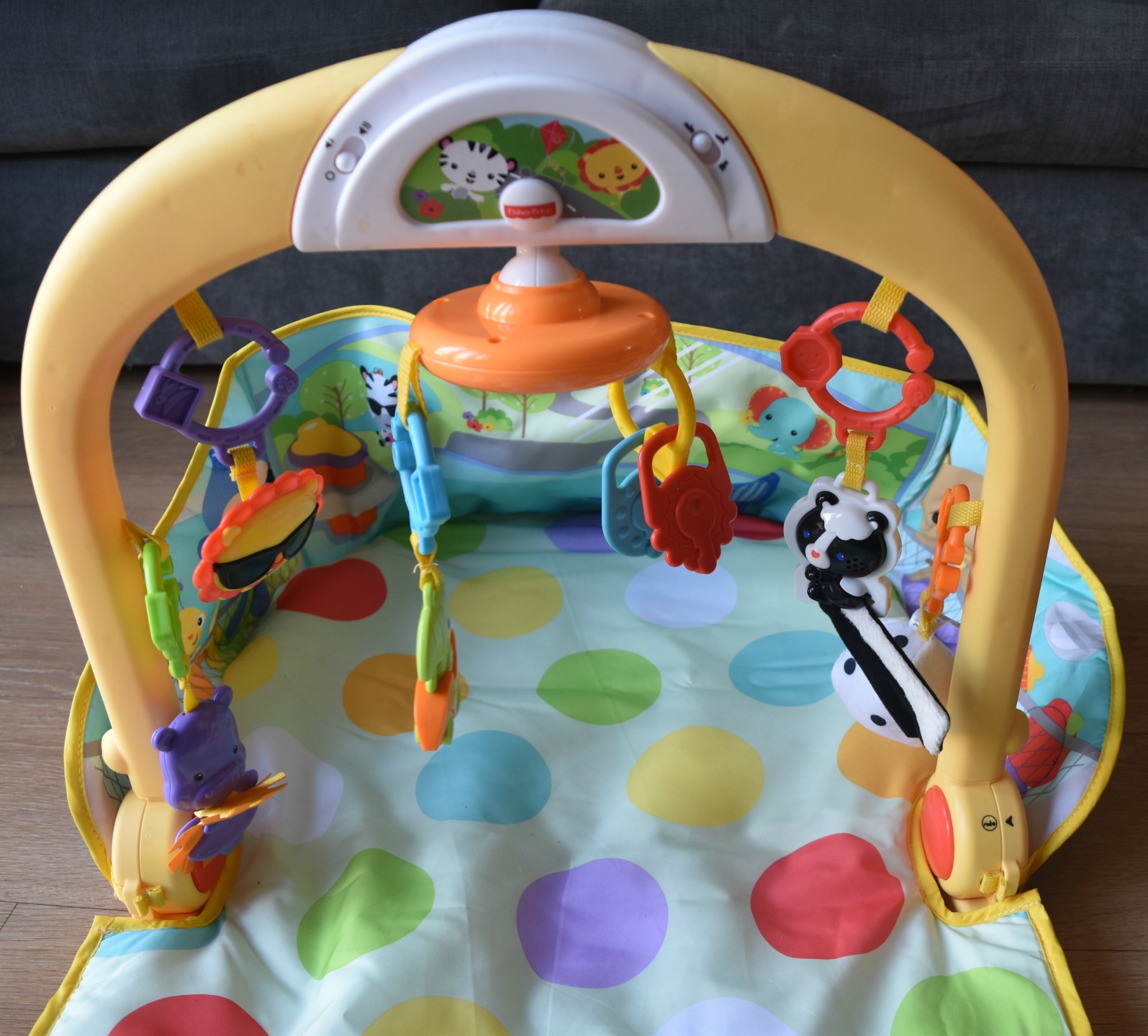 fisher price 3 in 1 car gym