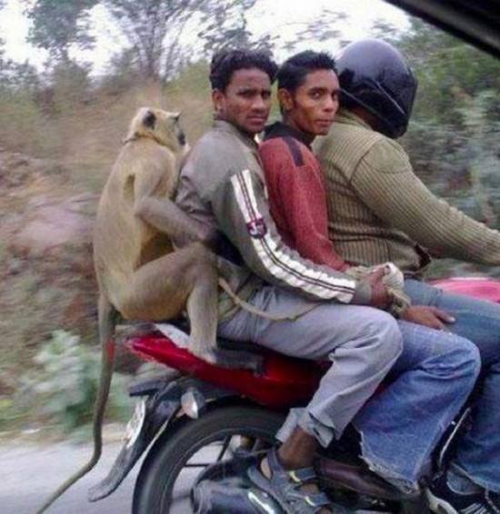 35 Foto Kocak dari India yang djamin Bikin Ngakak 35 Foto Kocak dari India yang djamin Bikin Ngakak