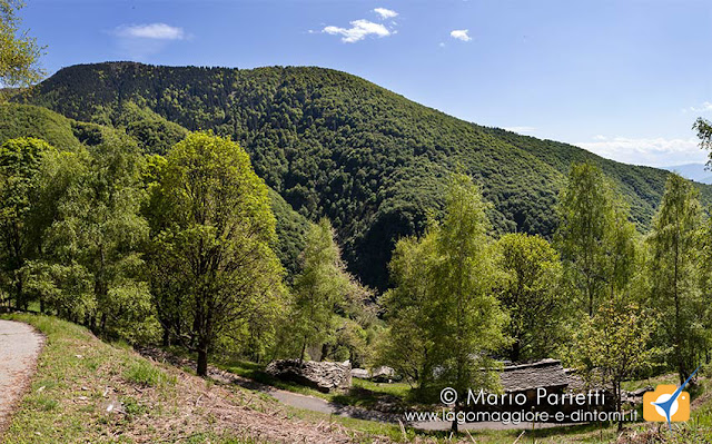 Pian Caurico Pian Caurico