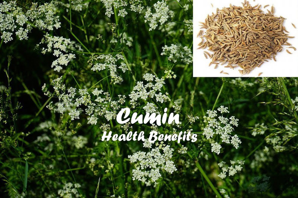 Cumin health bebefits Cumin health bebefits