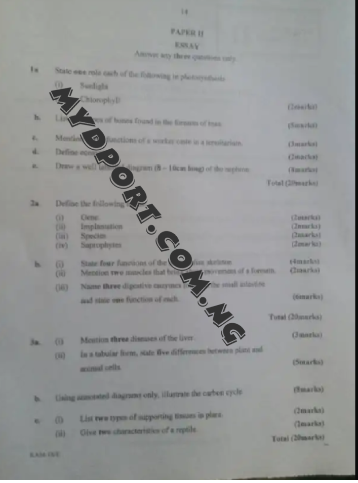 Agitation leaching theory and practice biology essay 07 picture