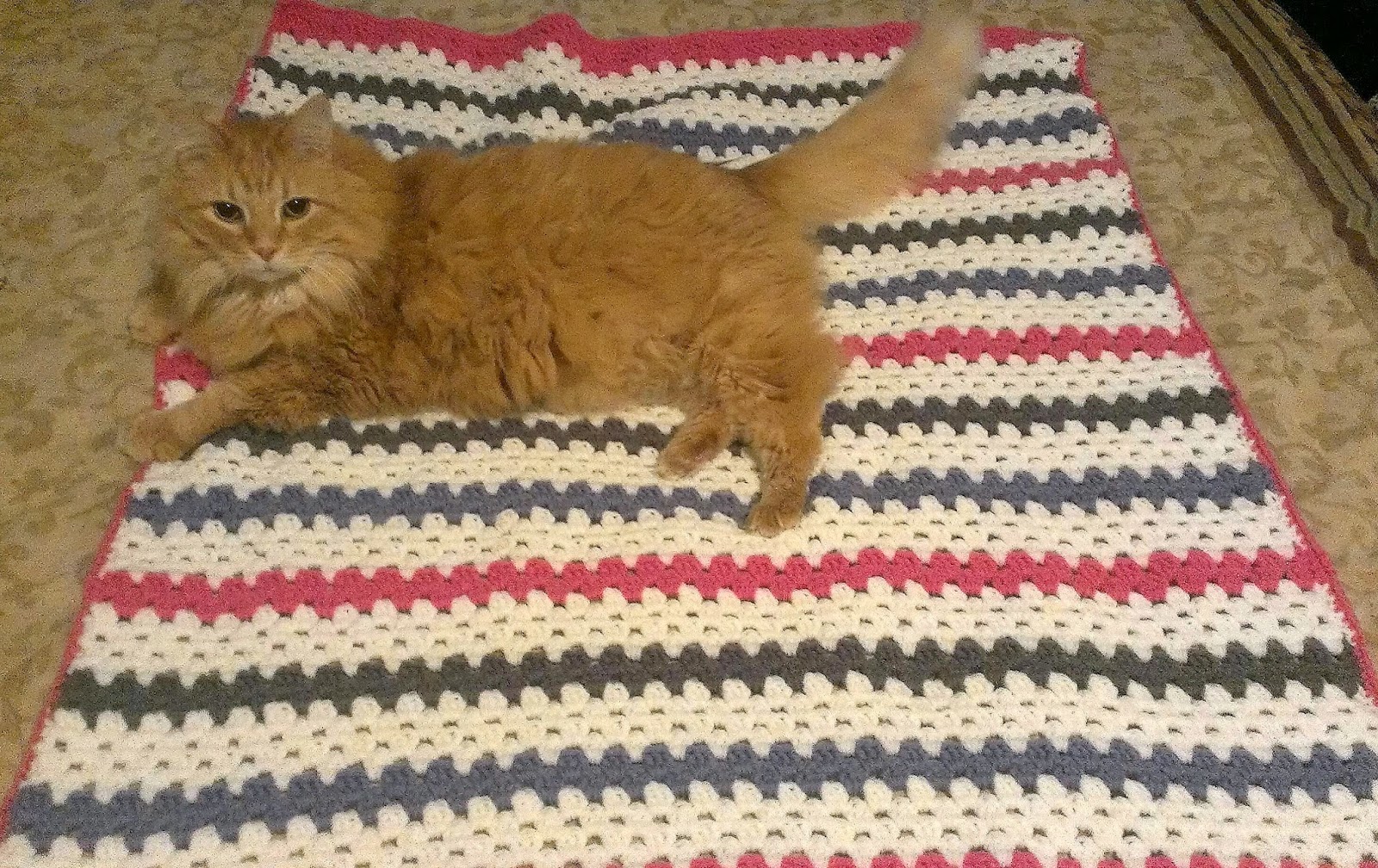 Illuminate Crochet: Cats Love Crochet (and Crochet Loves Them, Too!)