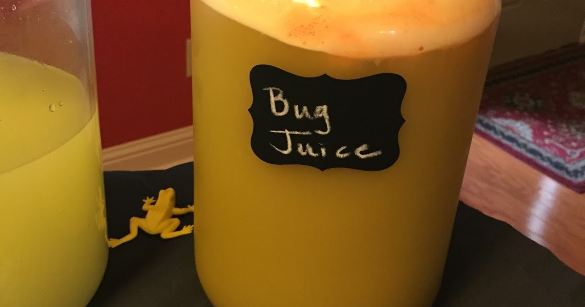 Our Neck Of The Woods Bug Juice Punch