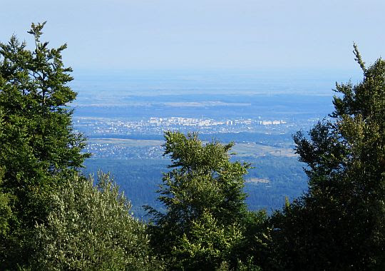 Widok na Truskawiec (ukr. Трускавець) Widok na Truskawiec (ukr. Трускавець)