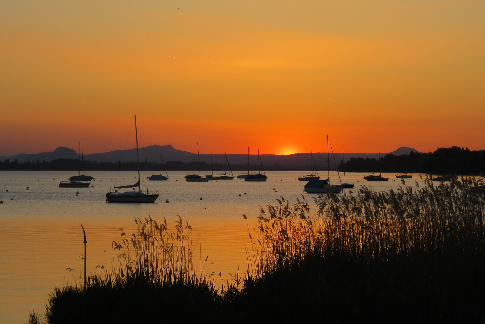 Bodenseewellen Am Gnadensee