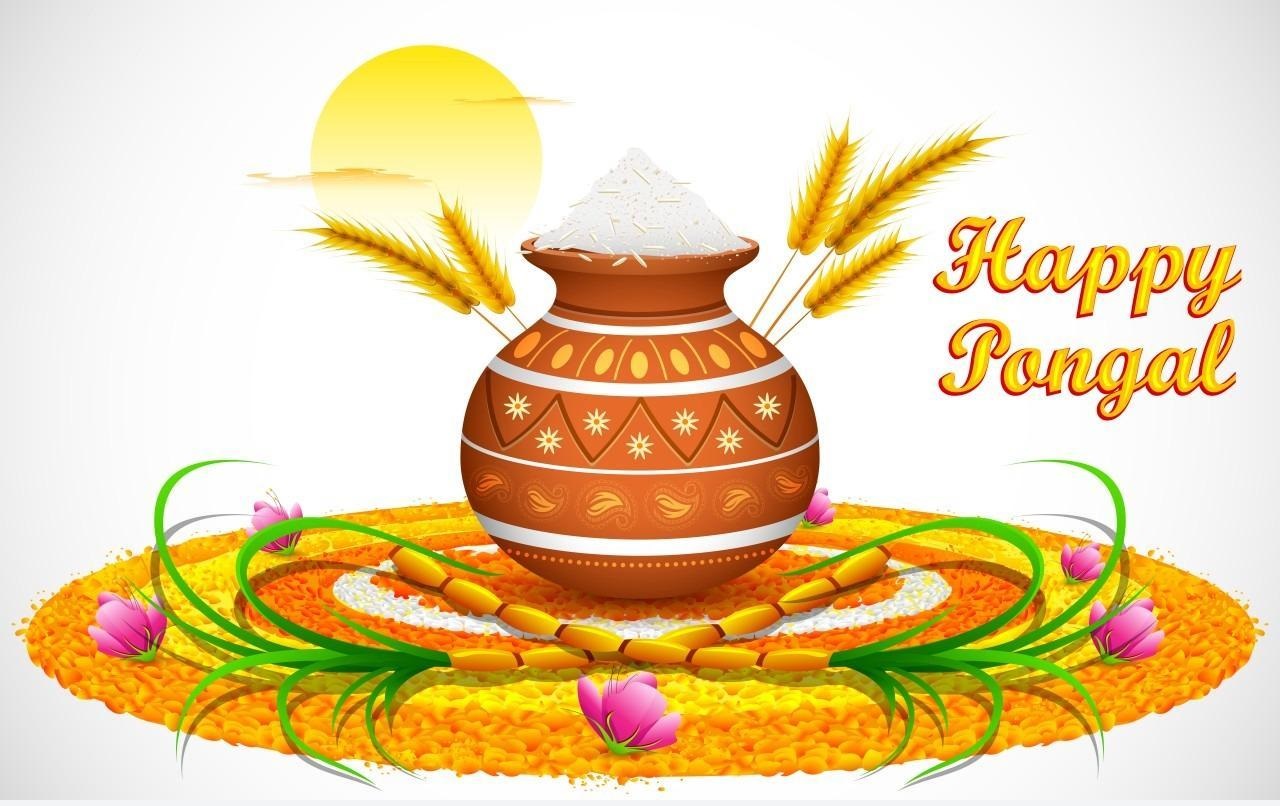 Happy Pongal 2017 & Images Pictures Sankranthi HD Wallpapers Download F...