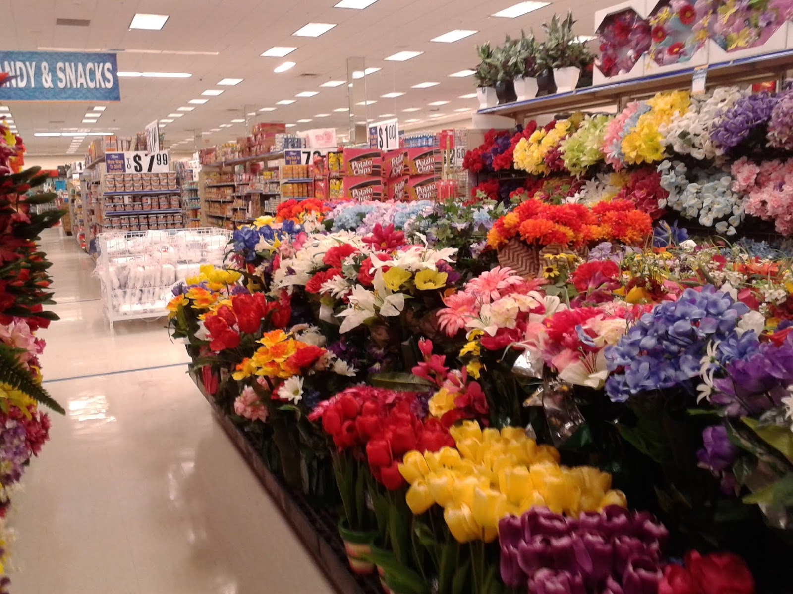 My Florida Retail Blog Roses Discount Store 553 Palm Bay, FL