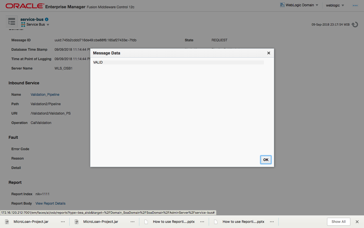 Schwarztag отчёт. Report message перевод. Ts interface. Extension перевод. Report message перевод.