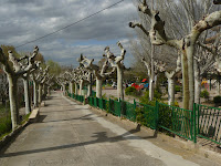Ainzón -Paseo a Garranguero Ainzón -Paseo a Garranguero