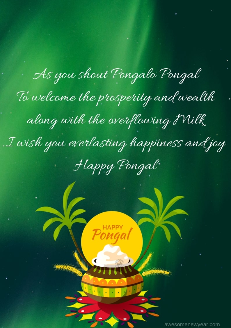 Pongal Wishes