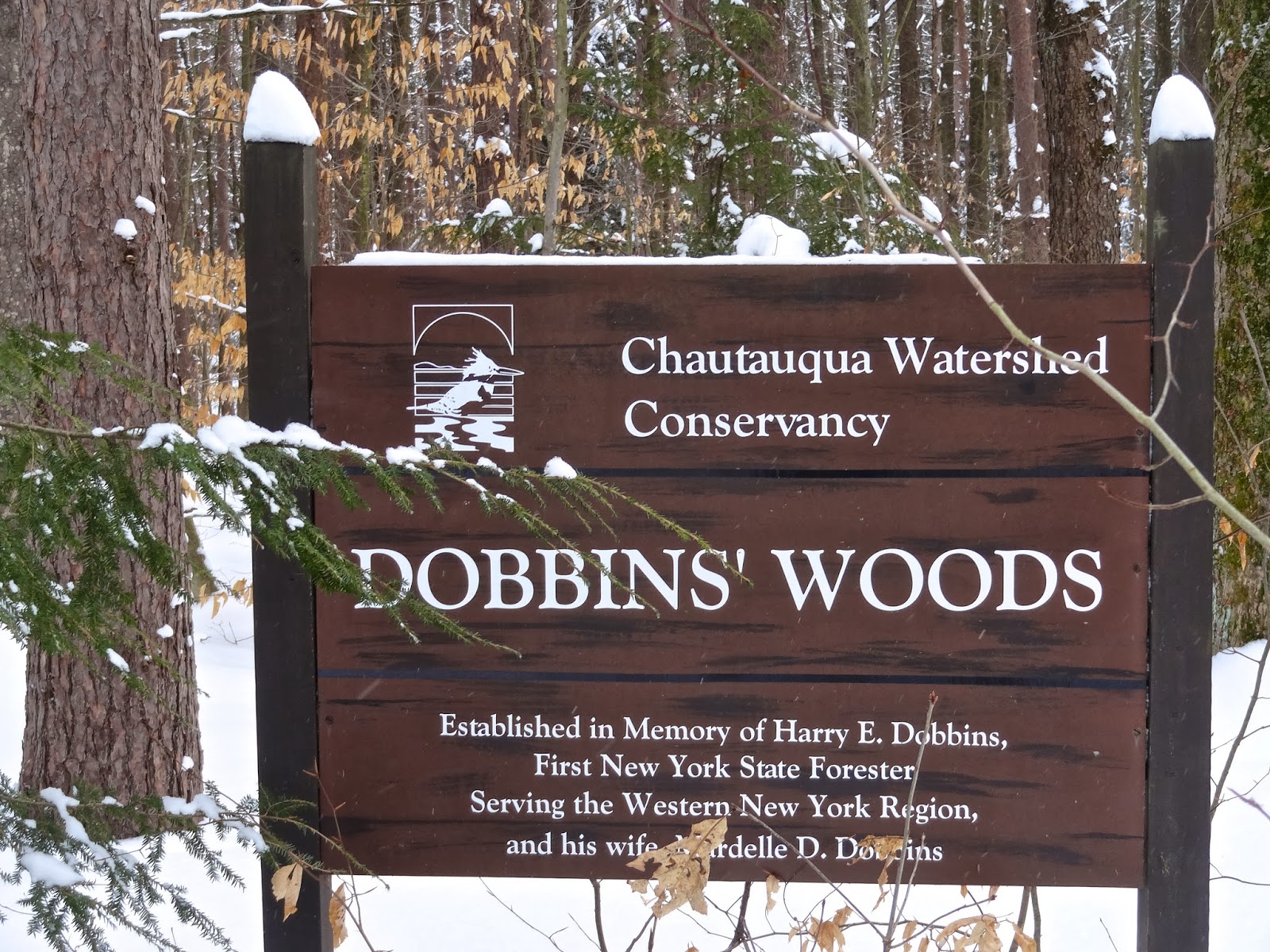 EARLY RISING ON CHAUTAUQUA LAKE A VERY Cold Friday, Snow Shoeing Dobbins Woods, Movie at Reg Lenna