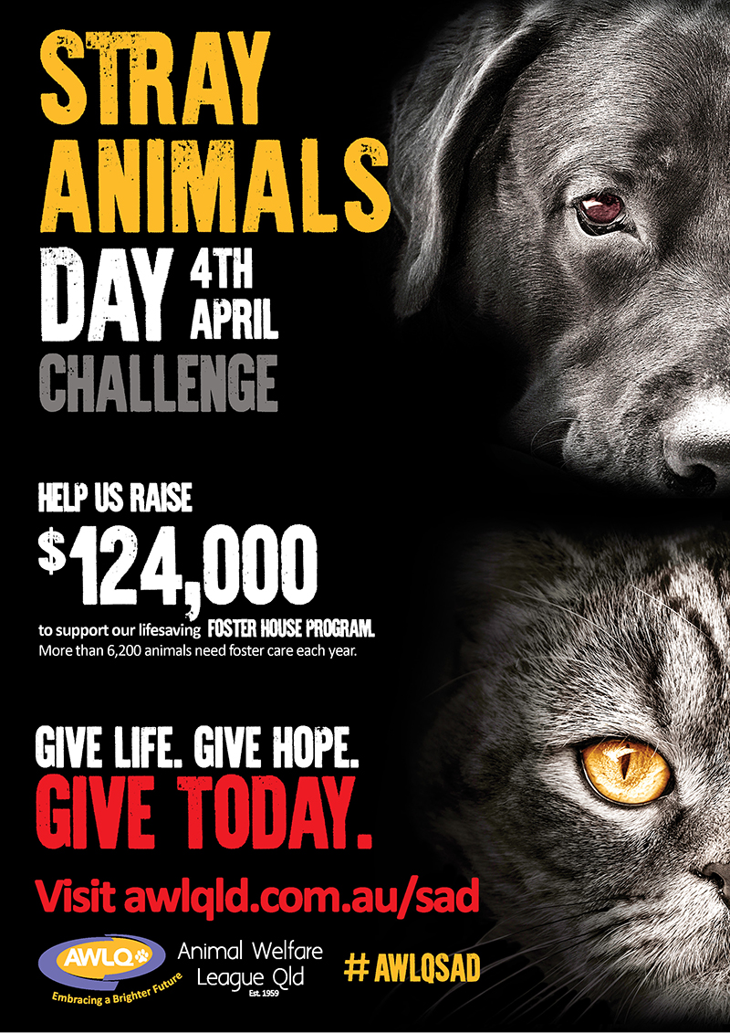 AWLQ Stray Animals Day Challenge - April 4 | Australian Dog Lover