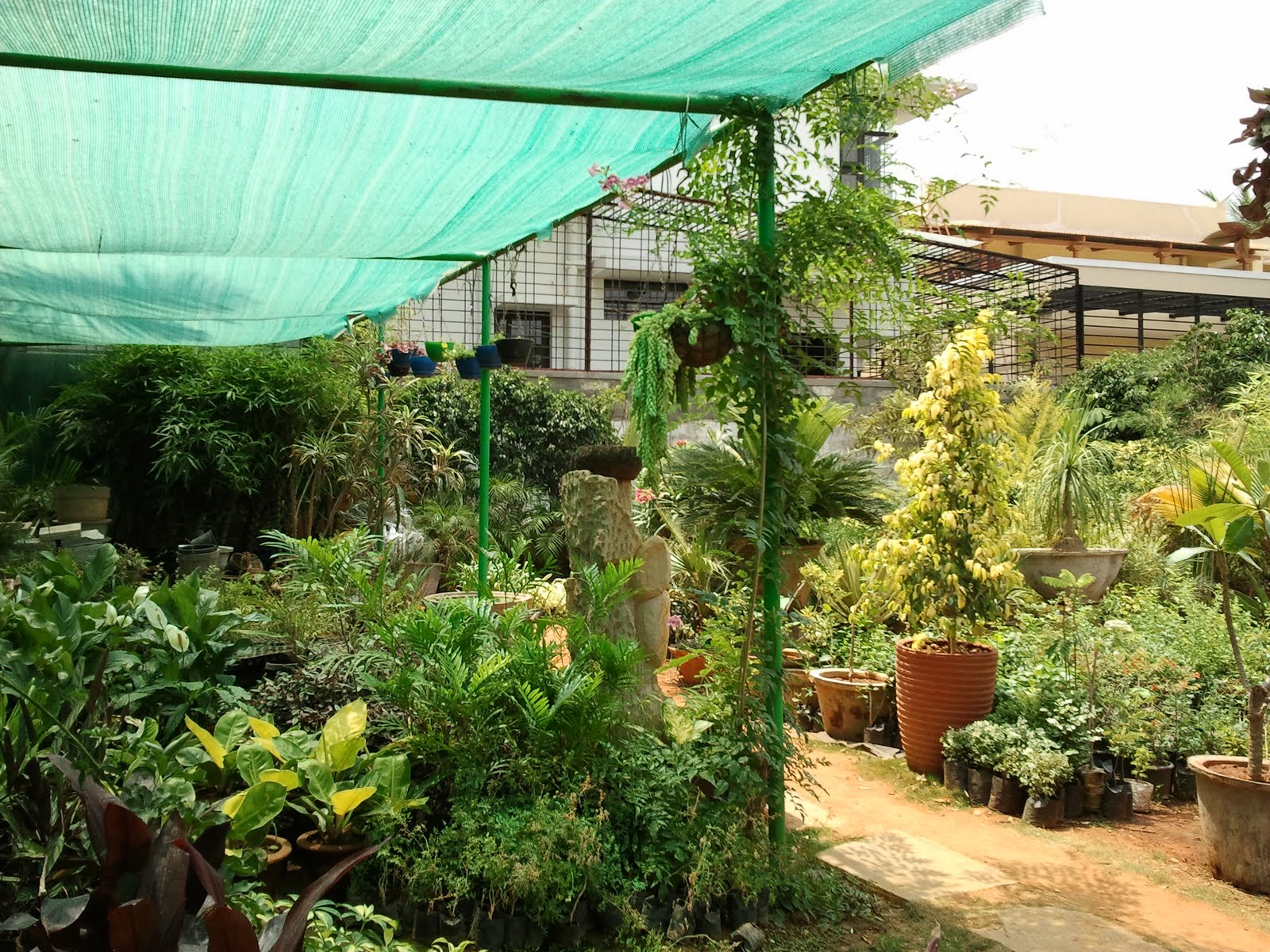 Bangalore Knick Knacks Bangalore flower nurseries