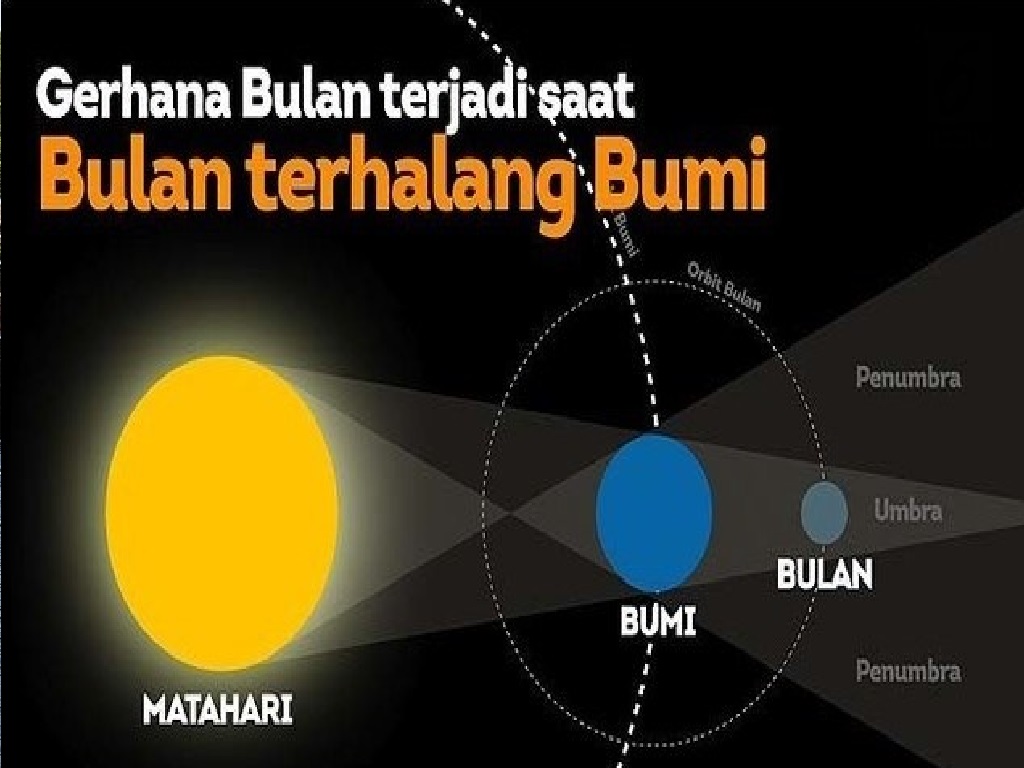 Latihan Soal dan Jawaban IPA Terpadu Kelas VII – Semester 2 – Halaman 167