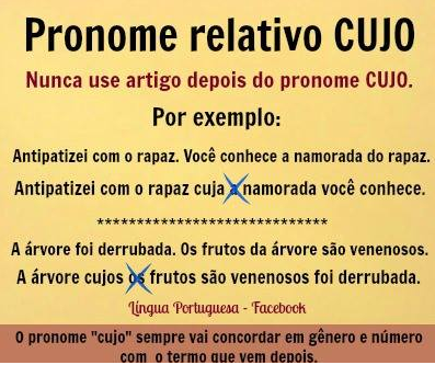 Emprego dos pronomes relativos – norma e uso – Conversa de Português