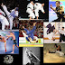 Las artes marciales y su adaptación al deporte moderno