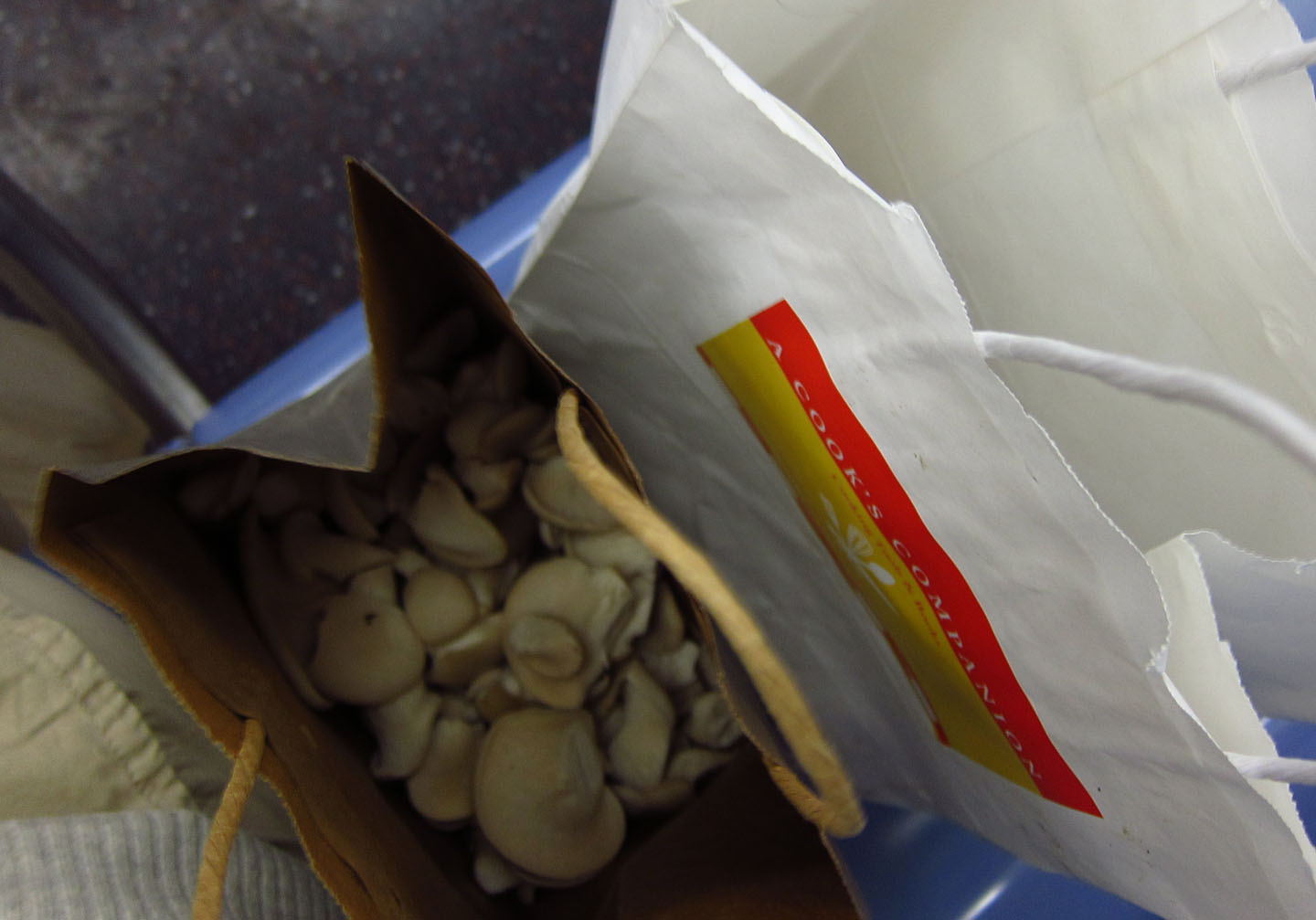 66 Square Feet (Plus) Oyster mushroom season!