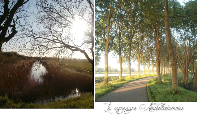 lifestyle -blog- expat the netherlands -amsterdam lifestyle -blog- expat the netherlands -amsterdam