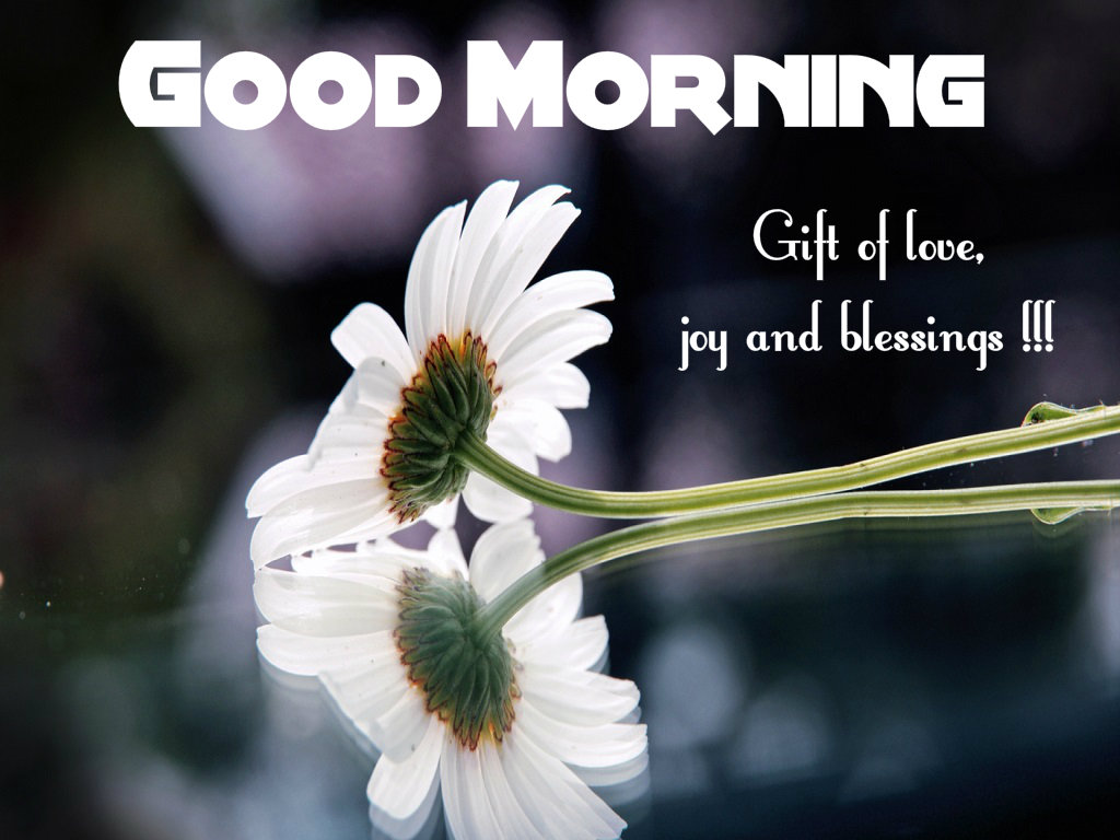 Включи good morning. Гуд морнинг. Good morning картинки. Good morning цветы. Good morning quotes.