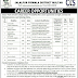 Jalalpur Public School And College Pirwala District Multan Jobs
