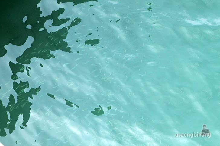 Pelabuhan Penyeberangan Teluk Bungus Padang