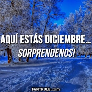 imagenes bienvenido diciembre frases