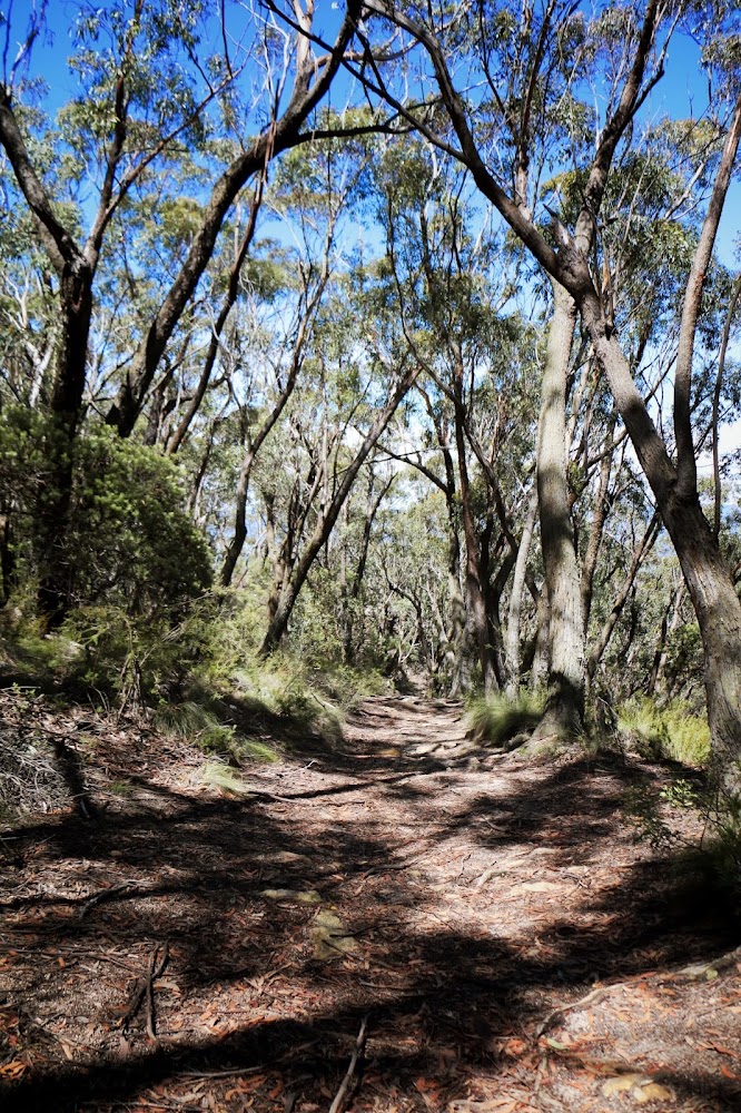 Lucy and The Runaways A Hike Pulpit Rock and the Little Zig Zag Track